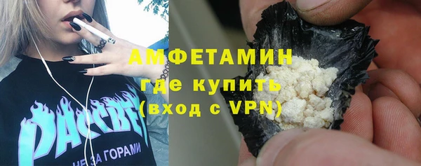соль ск Дмитриев