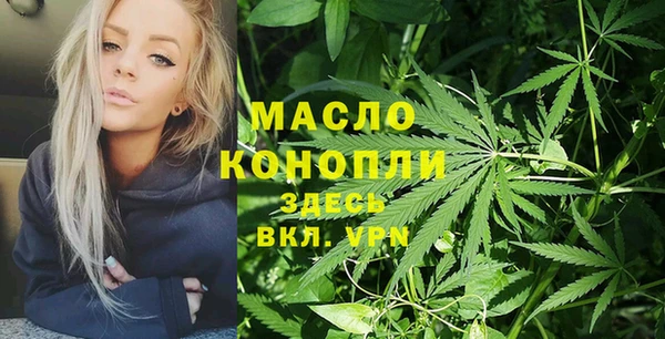сатива Дмитровск
