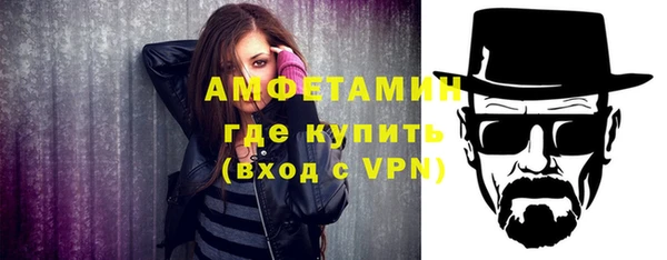 соль ск Дмитриев