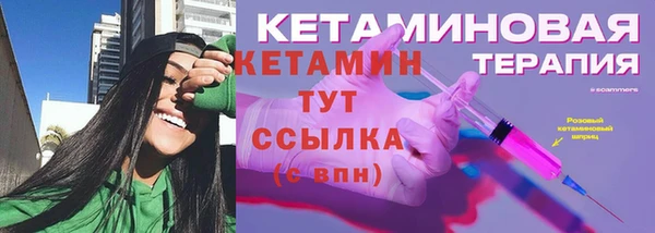 соль ск Дмитриев