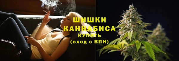 сатива Дмитровск