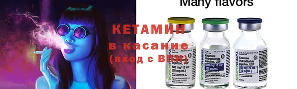 сатива Дмитровск