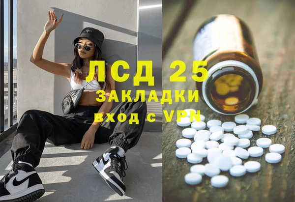 сатива Дмитровск