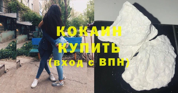соль ск Дмитриев