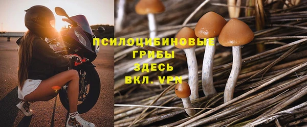 соль ск Дмитриев