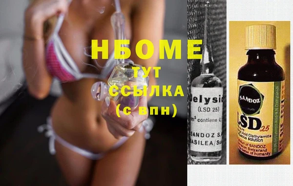 сатива Дмитровск