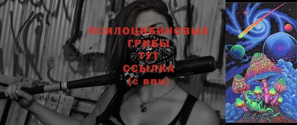 соль ск Дмитриев