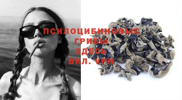 соль ск Дмитриев