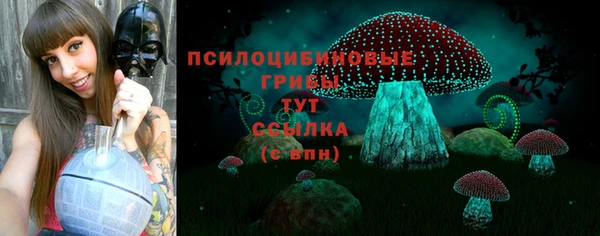 соль ск Дмитриев