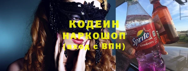 соль ск Дмитриев