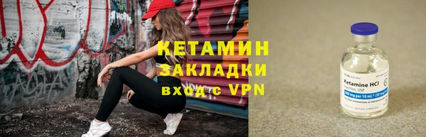 соль ск Дмитриев