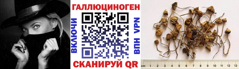 Галлюциногенные грибы Cubensis  Юхнов 